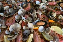 Marche_Cena-Sociale-Matelica_lug2024_2