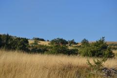 Memorial-Pagnoncelli_2026_06